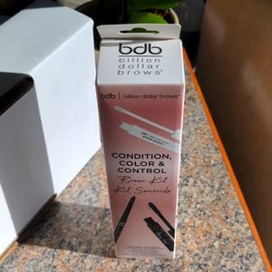 Billion Dollar Brows Condition Color and Control
